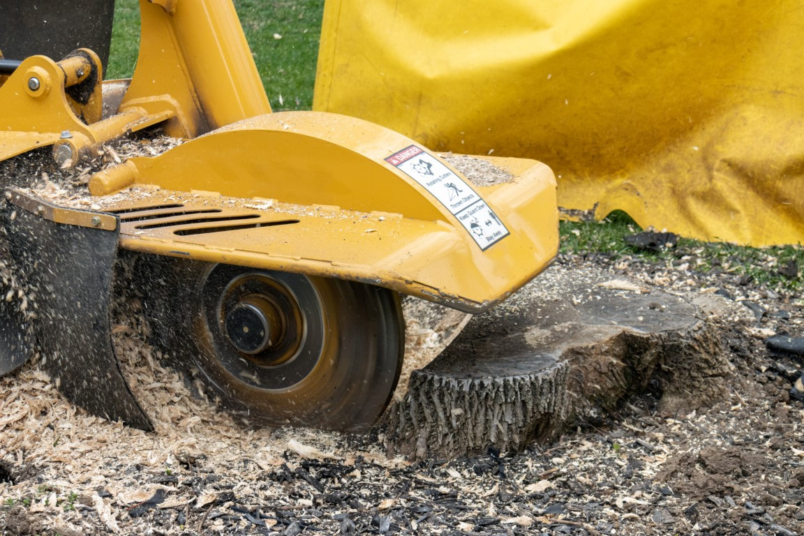 An image of Stump Grinding in Fort Pierce, FL
