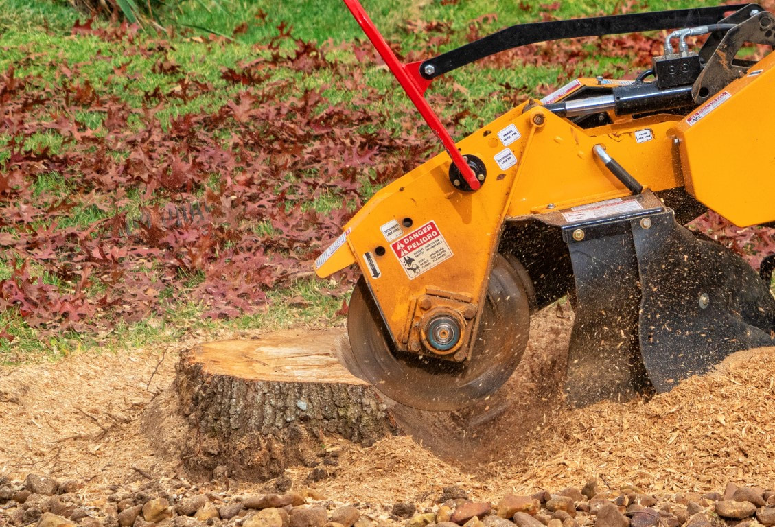 An image of Stump Grinding in Fort Pierce, FL